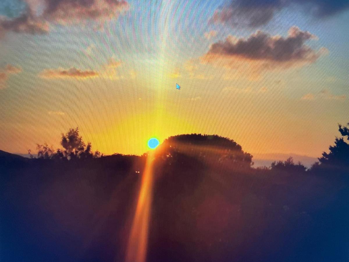 Siisa Appartamento La Muddizza Valledoria A 500 Mt Dal Mare Buitenkant foto